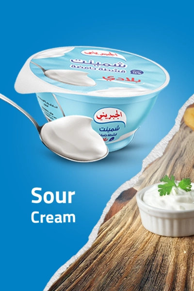 a-group-of-young-dairy-cows-outdoor-walking-in-a-f-resize